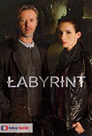 دانلود سریال The Labyrinth 2015