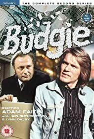 دانلود سریال Budgie 1971