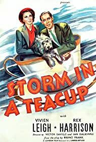 دانلود فیلم Storm in a Teacup 1937