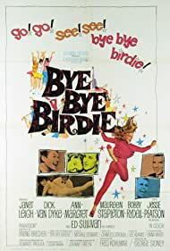 دانلود فیلم  Bye Bye Birdie 1963