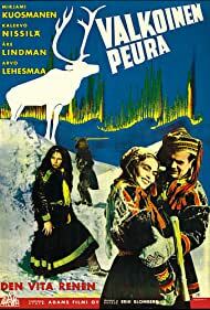 دانلود فیلم  The White Reindeer 1952