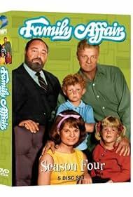 دانلود سریال Family Affair 1966