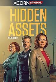 دانلود سریال Hidden Assets 2021