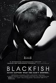 دانلود فیلم  Blackfish 2013