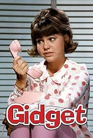 دانلود سریال Gidget 1965