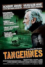 دانلود فیلم  Tangerines 2013