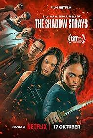 دانلود فیلم  The Shadow Strays 2024