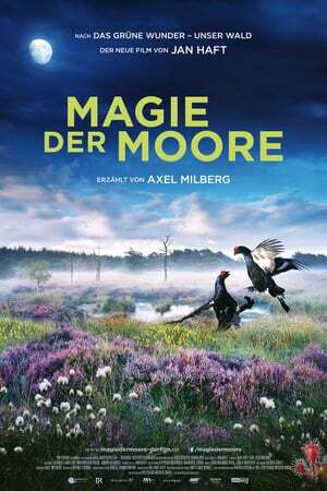 دانلود فیلم  Magie der Moore 2015