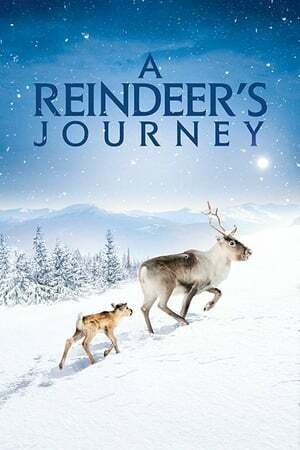 دانلود فیلم  A Reindeer’s Journey 2018