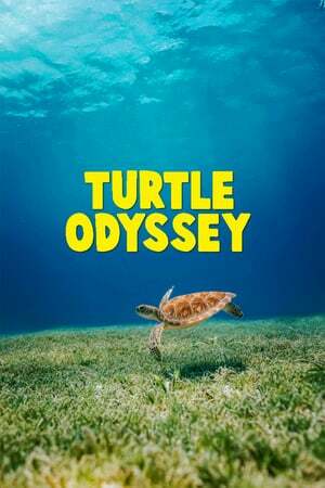 دانلود فیلم  Turtle Odyssey 2018
