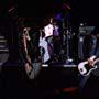 Dee Dee Ramone, Joey Ramone, Johnny Ramone, Marky Ramone, and Ramones in Rock 