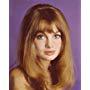 Jean Shrimpton