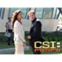 David Caruso and Sofia Milos in CSI: Miami (2002)
