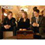 Kate Beahan, Sean Murray, and Matt Jones in NCIS (2003)