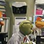 Dave Goelz, David Rudman, and Steve Whitmire in The Muppets. (2015)