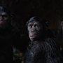 Judy Greer, Andy Serkis, Max Lloyd-Jones, and Devyn Dalton in War for the Planet of the Apes (2017)