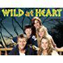 Amanda Holden, Stephen Tompkinson, Lucy-Jo Hudson, Rafaella Hutchinson, and Luke Ward-Wilkinson in Wild at Heart (2006)