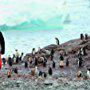 Luc Jacquet in Antarctica: Ice and Sky (2015)