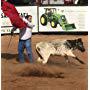 Bullfighting in Texas
