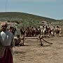 Geraldine Page and Michael Pate in Hondo (1953)