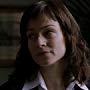 Stefania Rocca in The Card Player (2004)