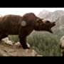 Tchéky Karyo and Bart the Bear in The Bear (1988)