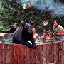 Susan Damante, Ham Larsen, Robert Logan, Heather Rattray, and Bruno The Bear in Adventures of the Wilderness Family 3 (1979)