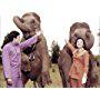 Rajesh Khanna and Tanuja in Haathi Mere Saathi (1971)