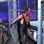 Mark Calaway in WWE Hell in a Cell (2010)