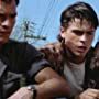 Rob Lowe, Patrick Swayze, and C. Thomas Howell in The Outsiders (1983)