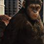 Karin Konoval, Richard Ridings, Andy Serkis, and Terry Notary in Rise of the Planet of the Apes (2011)