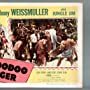 William Bryant, Jean Dean, Michael Fox, and Johnny Weissmuller in Voodoo Tiger (1952)