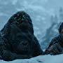 Andy Serkis and Michael Adamthwaite in War for the Planet of the Apes (2017)