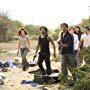 Jeff Fahey, Naveen Andrews, Daniel Dae Kim, Matthew Fox, Jorge Garcia, Josh Holloway, Yunjin Kim, and Evangeline Lilly in Lost (2004)