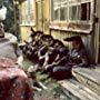 Atte Blom, Sakke Järvenpää, Silu Seppälä, Mauri Sumén, Twist-Twist Erkinharju, Jore Marjaranta, and Leningrad Cowboys in Leningrad Cowboys: These Boots (1993)