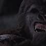 Rick Baker in King Kong (1976)