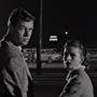 Sterling Hayden and Coleen Gray in The Killing (1956)