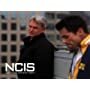 NCIS