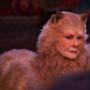 Judi Dench and Jennifer Hudson in Cats (2019)