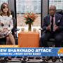 Al Roker and Natalie Morales in Sharknado 4: The 4th Awakens (2016)