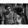 Marlon Brando and Kim Hunter in A Streetcar Named Desire (1951)