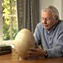 David Attenborough in Madagascar (2011)