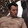 Alan Arkin in Catch-22 (1970)