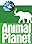 Animal Planet Sporthorse Cup II