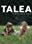 Talea