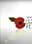 The Royal British Legion Festival of Remembrance